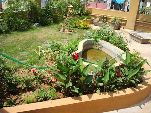 Terrace Gardening Services