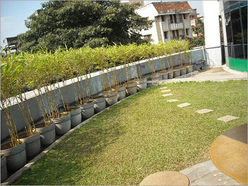Landscape Maintenance Services