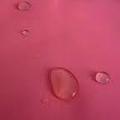 Oil and Water Repellent Paints