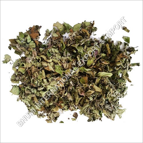 Oregano
