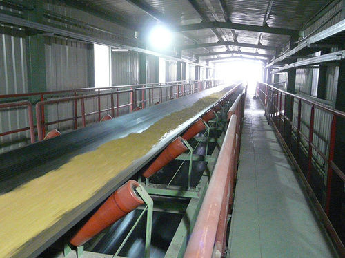 Belt Conveyor for Grain