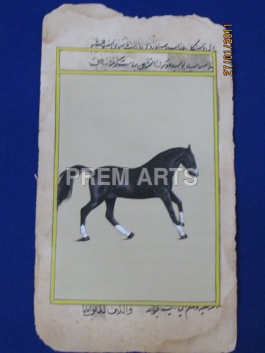 Hand-Painted Indian Miniature Art - Horse Painting on Paper 3x4 Inch to 10 Feet Size Watercolor Pigments
