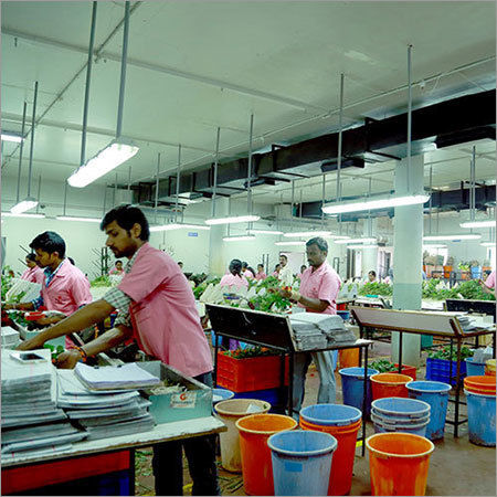 Packaging Cold Storage Room