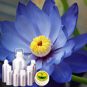 Aromatics Blue Lotus Absolute Oil