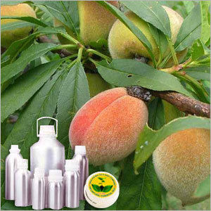 Peach Tree Leaf Absolute Oil