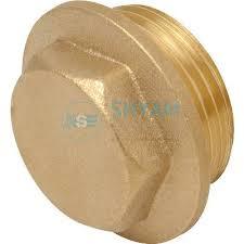 Brass Hex Collar Plug