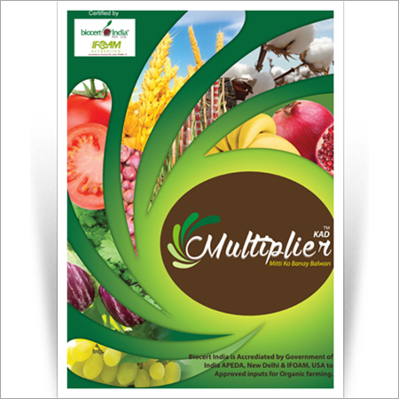Multiplier