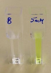 Bis (4 Nitrophenyl) Carbonate Bis (4 Nitrophenyl) Carbonate