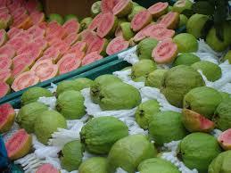 Guava Net