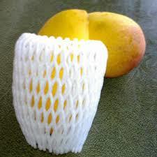 Mango Foam Net