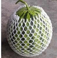 Melon Net