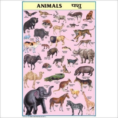 Animals Chart