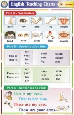 Body Parts Chart