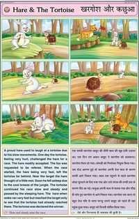 Hare & The Tortoise Chart