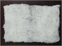 Wound Dressing
