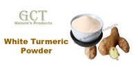 White Turmeric Powder