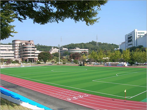 Playground Soccer Field