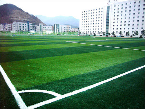 LG Display Soccer Field