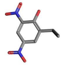 Dinoseb methyl ether solution