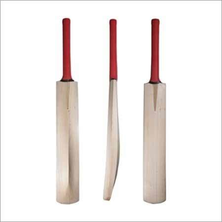 Popular Willow Bat