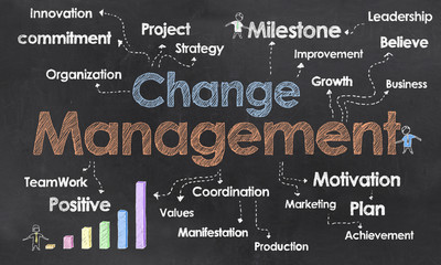 Change Management Consultant