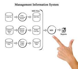 MIS Reporting Services