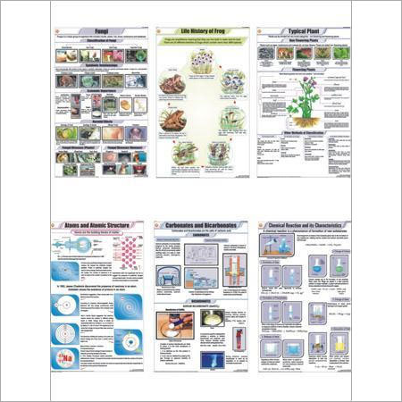 Science Educational Chart