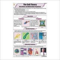 The Cell Theory Chart