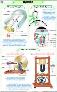 Dynamo Chart