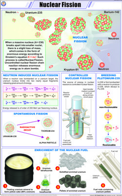 Nuclear Fission Chart