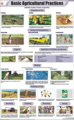 Basic Agricultural Practices Chart