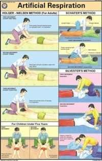 Artificial Respiration Chart