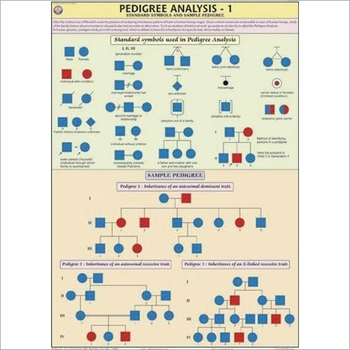 Pedigree Analysis-1 Chart