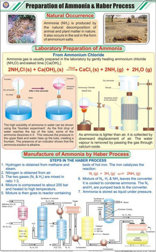 Prep of Ammonia & Haber Process Chart