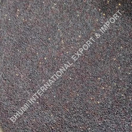 Mustard Seeds