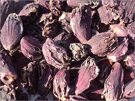 Large Cardamom