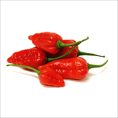 Bhut Jolokia