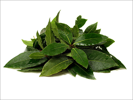 Green Bay Leaf