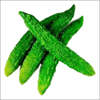 Bitter Gourd