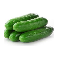Cucumber