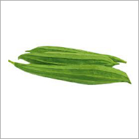 Ridge Gourd