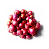 Small Onion