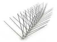 Large Bird Spike