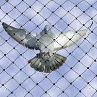 Anti Bird Repellent Net