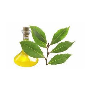 Bay Leaf Oil