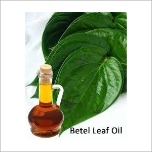 Betel Leaf Oil