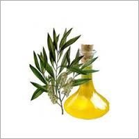Cajeput Oil