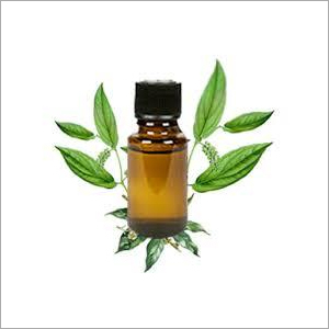 Camphor Oil