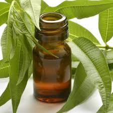 Citronella Oil