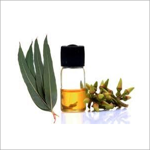 Eucalyptus Oil
